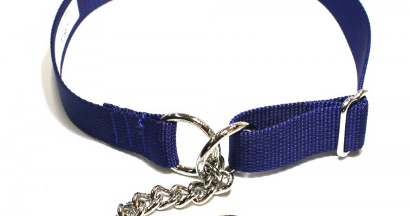 No buckle hot sale dog collar