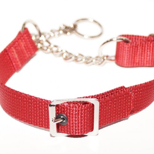 Webbing dog collars are great for beach and water fun as they won't dry ...